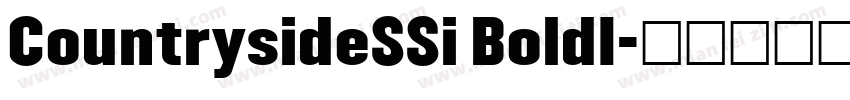 CountrysideSSi BoldI字体转换
